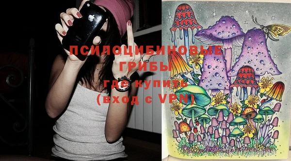 бошки Бугульма